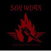 Soilwork lyrics, Soilwork Observation Slave lyrics, Observation Slave lyrics,Stabbing The Drama album