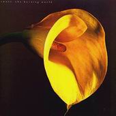 Check out lyrics of Swans's album The Burning World