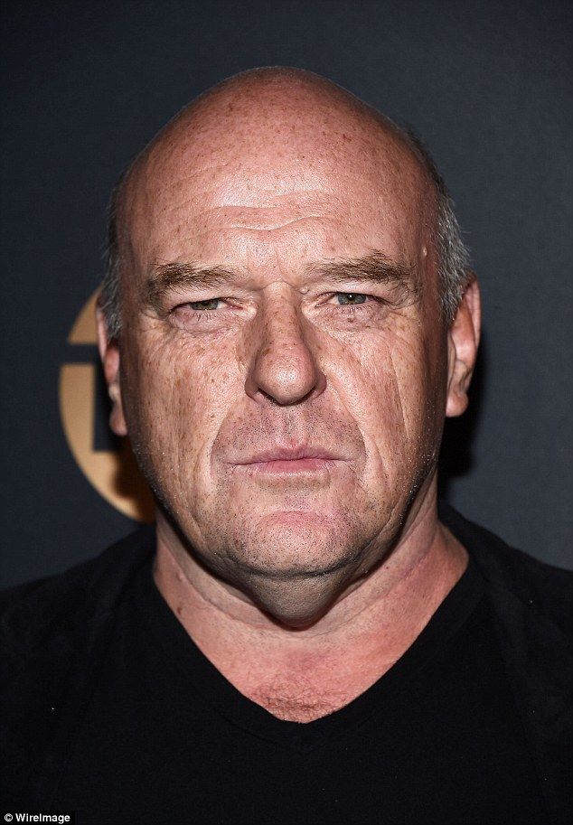 Breaking Bad television show cast,