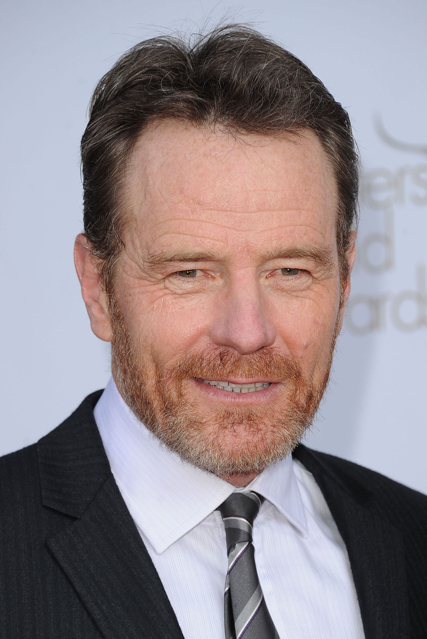 Breaking Bad television show cast,