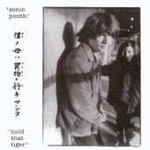 Sonic Youth lyrics, Sonic Youth Beauty Lies in the Eye lyrics, Beauty Lies in the Eye lyrics,Hold That Tiger album
