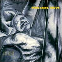 Screaming Trees lyrics, Screaming Trees Dime Western lyrics, Dime Western lyrics,Dust album