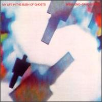 Brian Eno lyrics, Brian Eno America Is Waiting lyrics, America Is Waiting lyrics,My Life in the Bush of Ghosts album