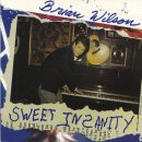 Brian Wilson lyrics, Brian Wilson Intro lyrics, Intro lyrics,Sweet Insanity album