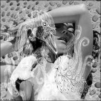 See Bjork's album -  songs & lyrics.