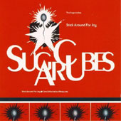 Bjork lyrics, Bjork HAPPY NURSE lyrics, HAPPY NURSE lyrics,Stick Around For Joy album