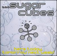 Sugarcubes lyrics, Sugarcubes Water lyrics, Water lyrics,Here Today, Tomorrow Next Week! album