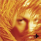 Stone Temple Pilots lyrics, Stone Temple Pilots Dumb Love lyrics, Dumb Love lyrics,Shangri album