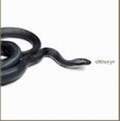 See "'s" album - "".