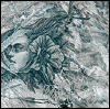 See Ablaze My Sorrow's album -  songs & lyrics.