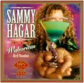 Sammy Hagar lyrics, Sammy Hagar Don't Fight It (Feel It) lyrics, Don't Fight It (Feel It) lyrics,Red Voodoo album