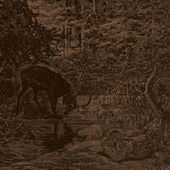Check out lyrics of Agalloch's album Of Stone, Wind And Pillor