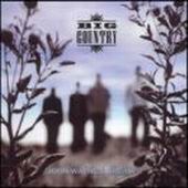 Check out lyrics of Big Country's album John Wayne's Dream