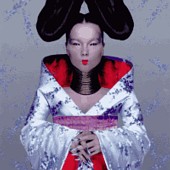 Bjork lyrics, Bjork Alarm Call lyrics, Alarm Call lyrics,Homogenic album