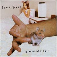 Sonic Youth lyrics, Sonic Youth The Ineffable Me lyrics, The Ineffable Me lyrics,A Thousand Leaves album
