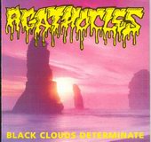 Check out lyrics of Agathocles's album Black Clouds Determinate