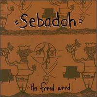 Sebadoh lyrics, Sebadoh Subtle Holy Gift lyrics, Subtle Holy Gift lyrics,Freed Weed album