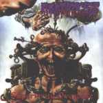 Check out lyrics of Agathocles's album Superiority Overdose